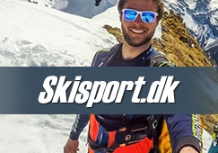 Skisport